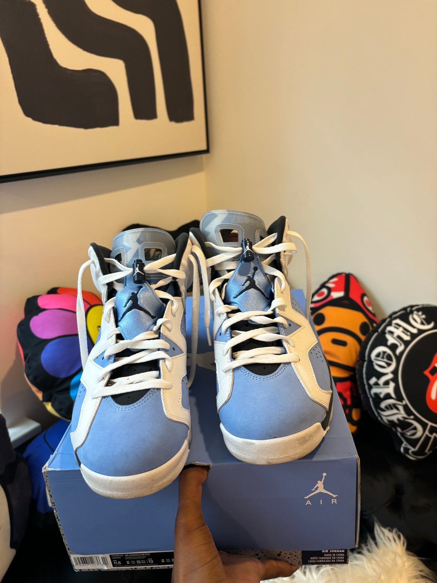 Jordan 6 Unc