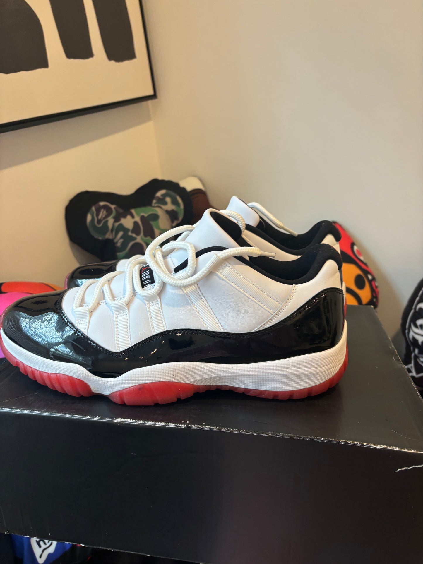 Concord bred 11 low