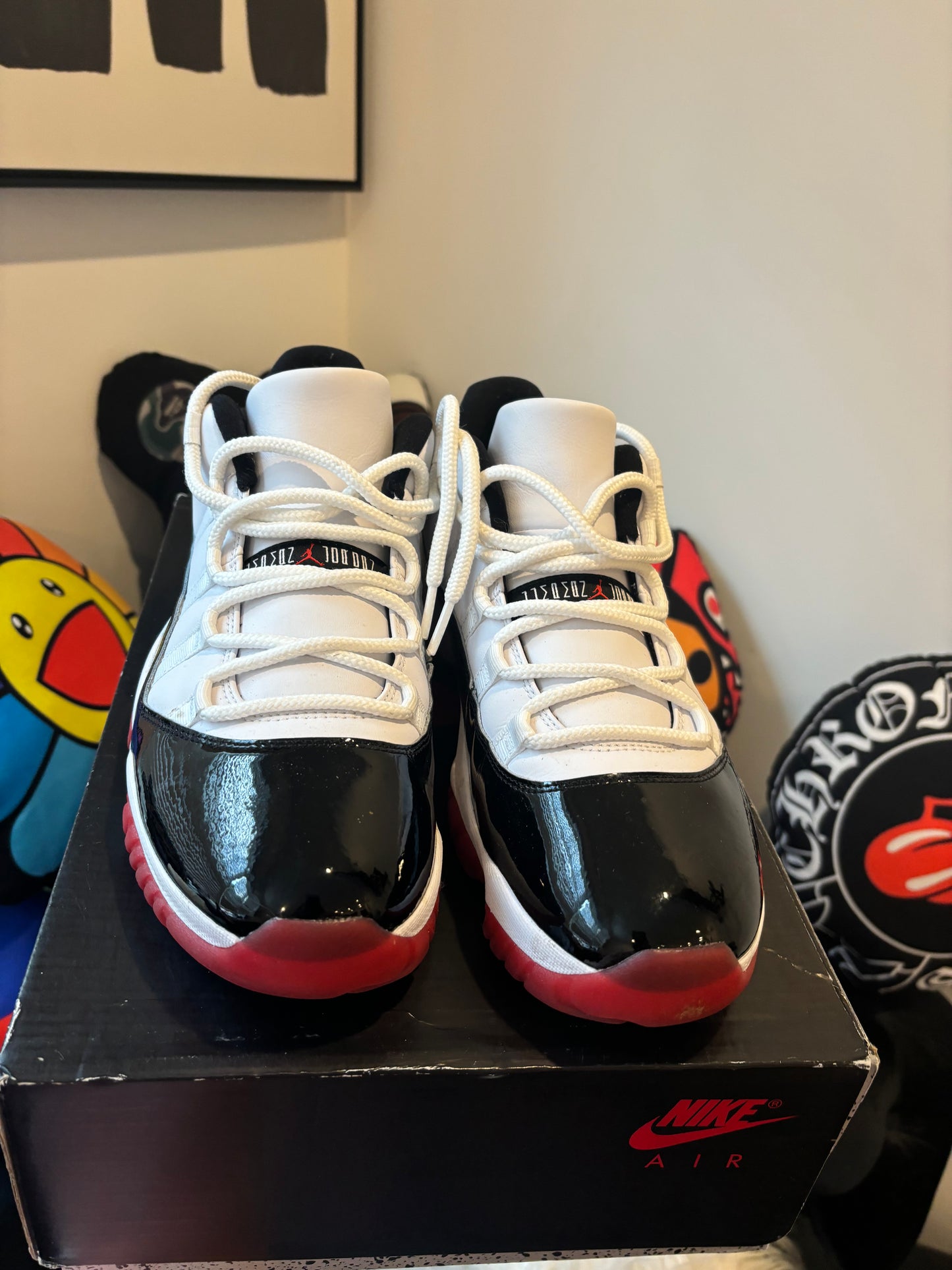 Concord bred 11 low