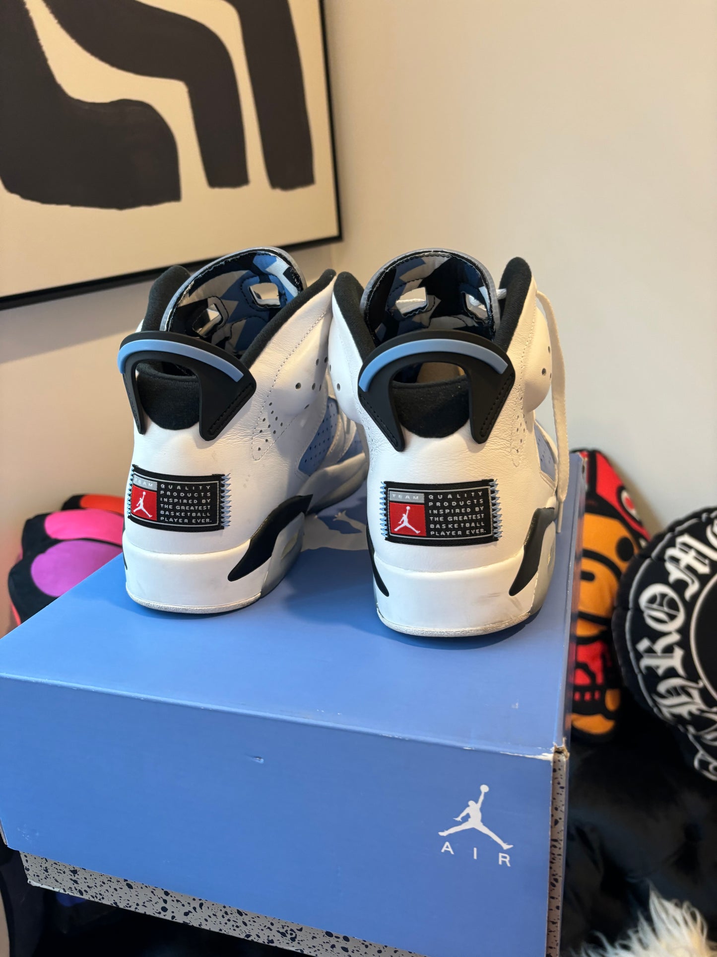 Jordan 6 Unc